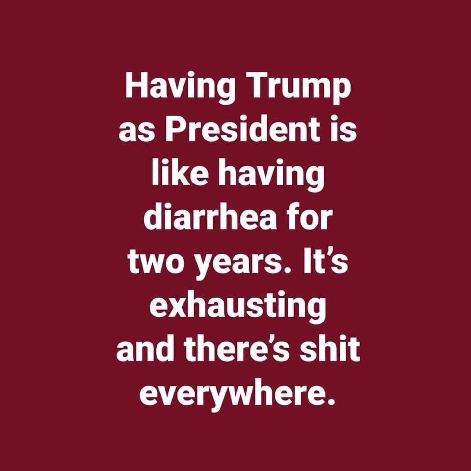 Having Trump as President is like having diarrhea for two years. It's exhausting and there's shit everywhere.